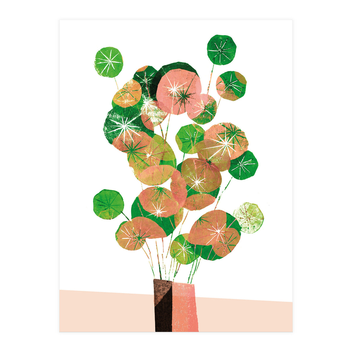 Pilea In Green And Coral (Print Only)