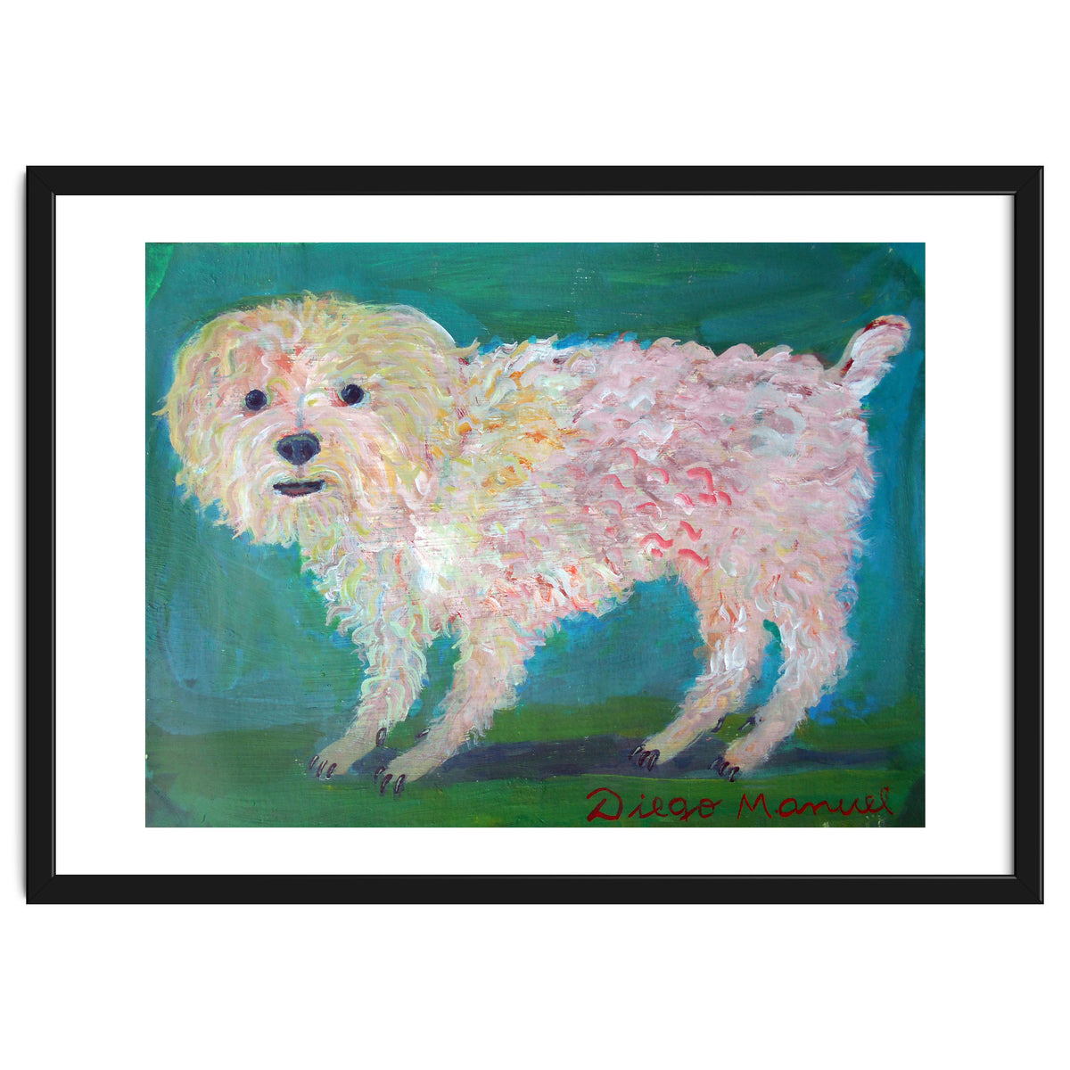 Caniche Blanco De Diego Manuel Rodriguez