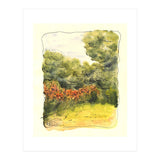 Summer Garden (Print Only) thumbnail