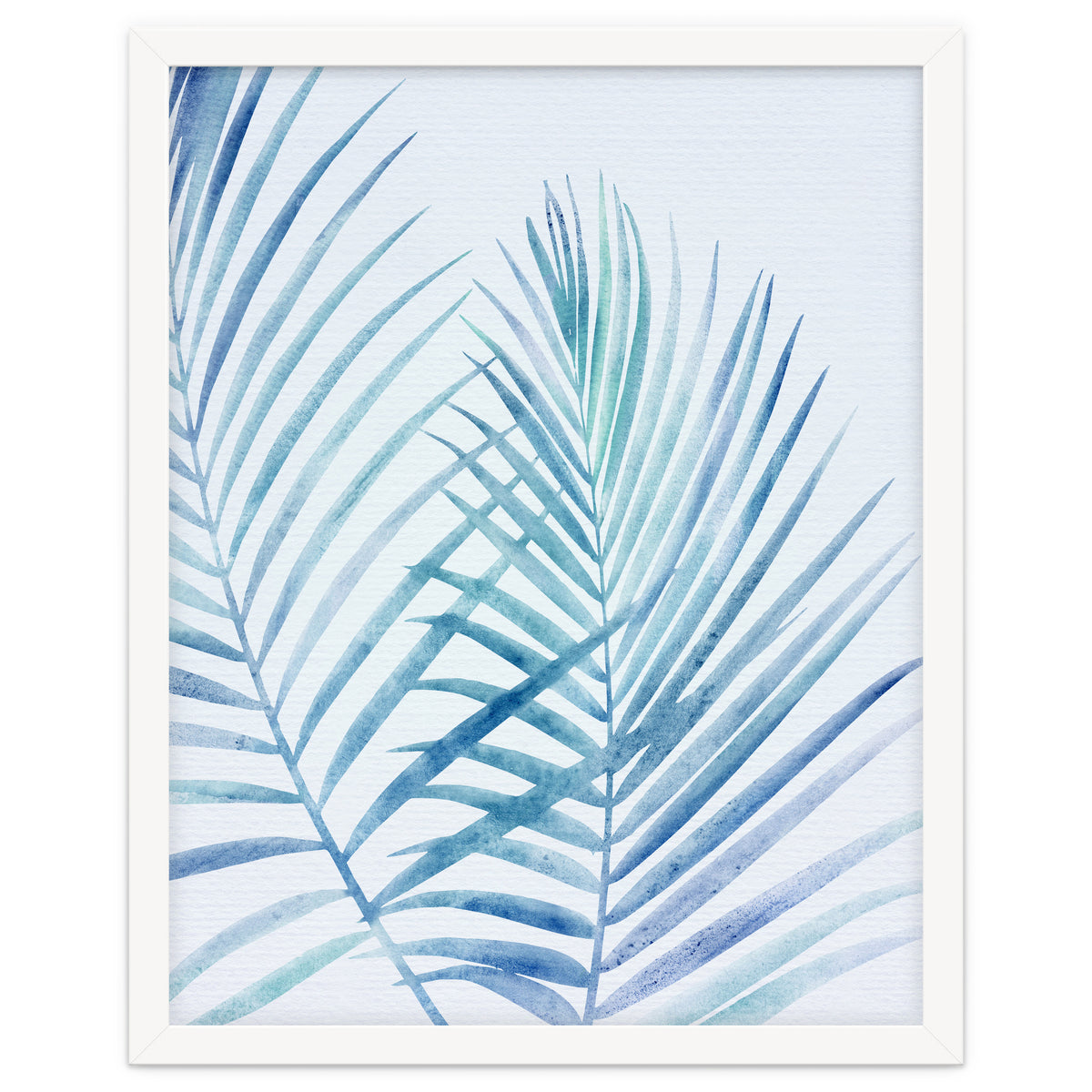 Coastal Palm Fronds
