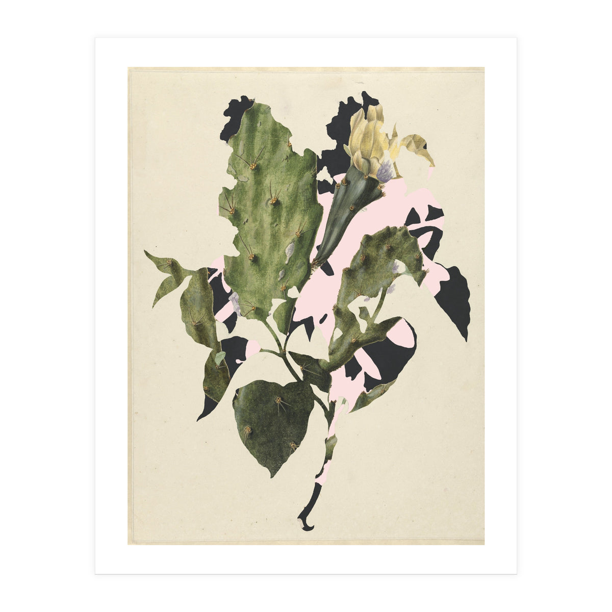The First Plant · E3 (Print Only)