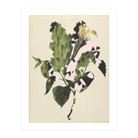 The First Plant · E3 (Print Only)
