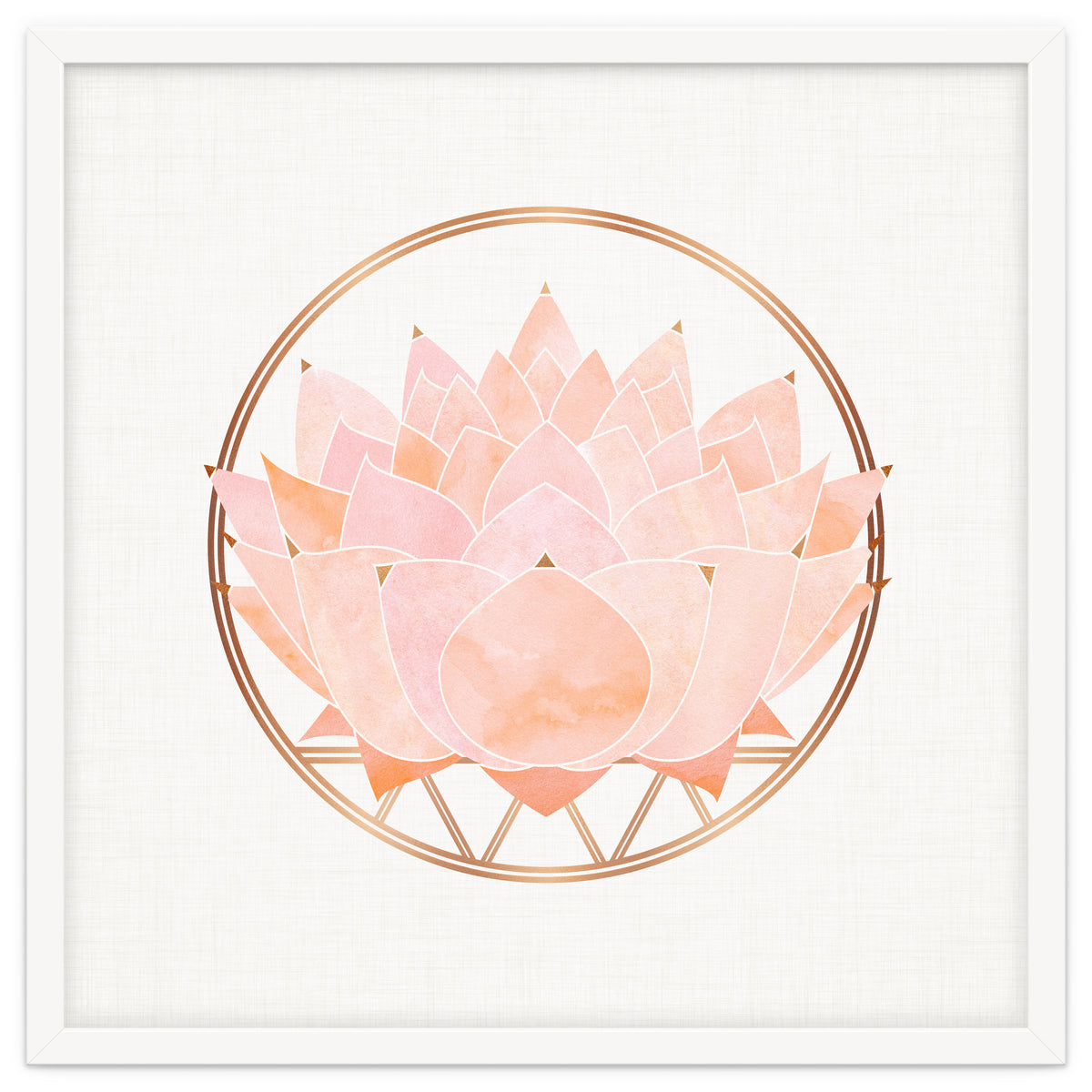 Peach Succulent  Blossom