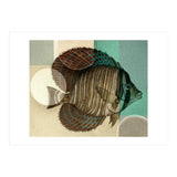 Fish Between Circles 4 (Print Only) thumbnail