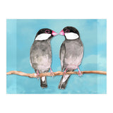 Two kissing Java sparrows (Print Only) thumbnail