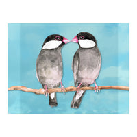 Two kissing Java sparrows (Print Only)