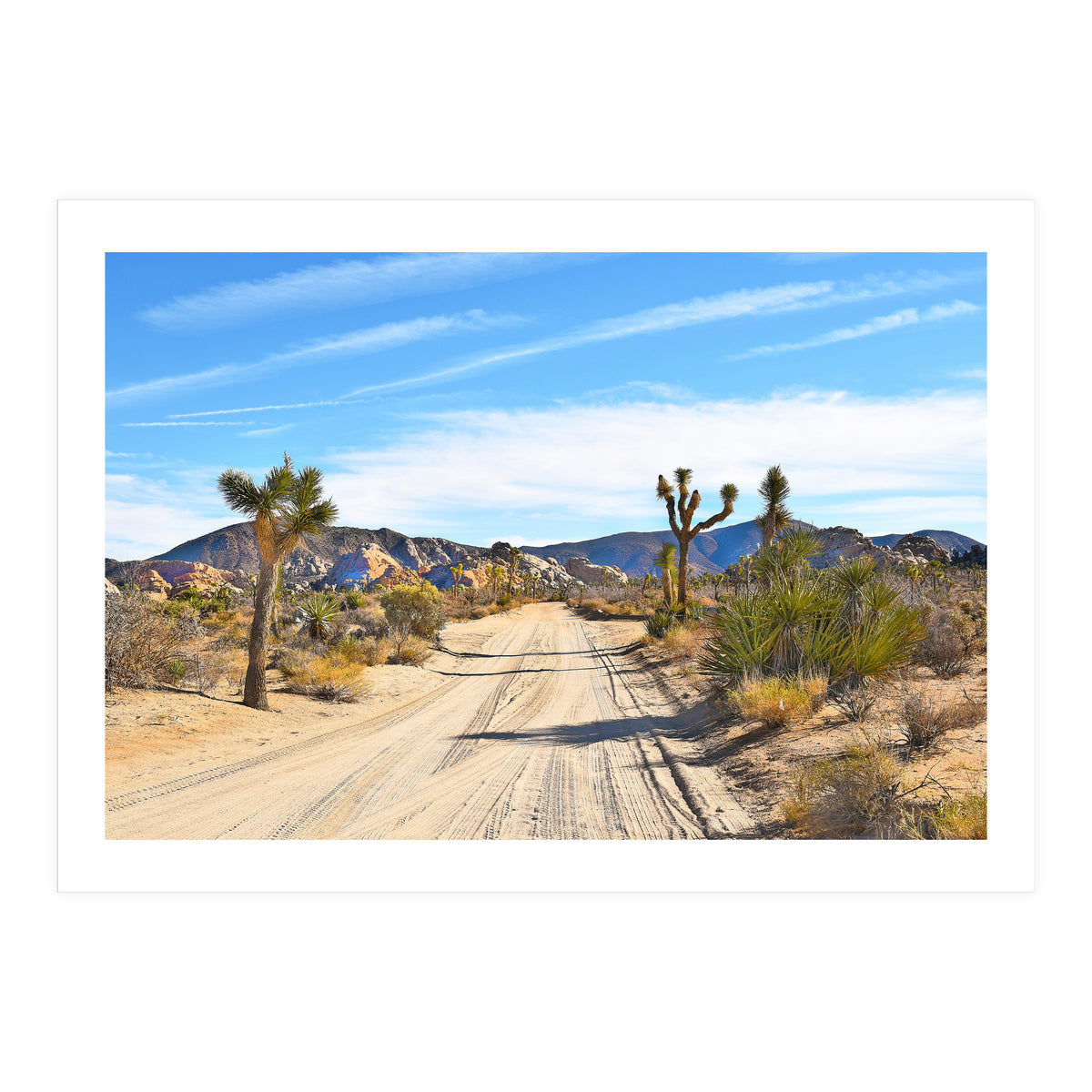 Joshua Tree II (Print Only)