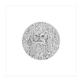 In Plain Sight (Print Only) thumbnail