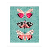 Lepidoptery Study No. 6 (Print Only)