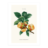 Burger Plant (Print Only) thumbnail
