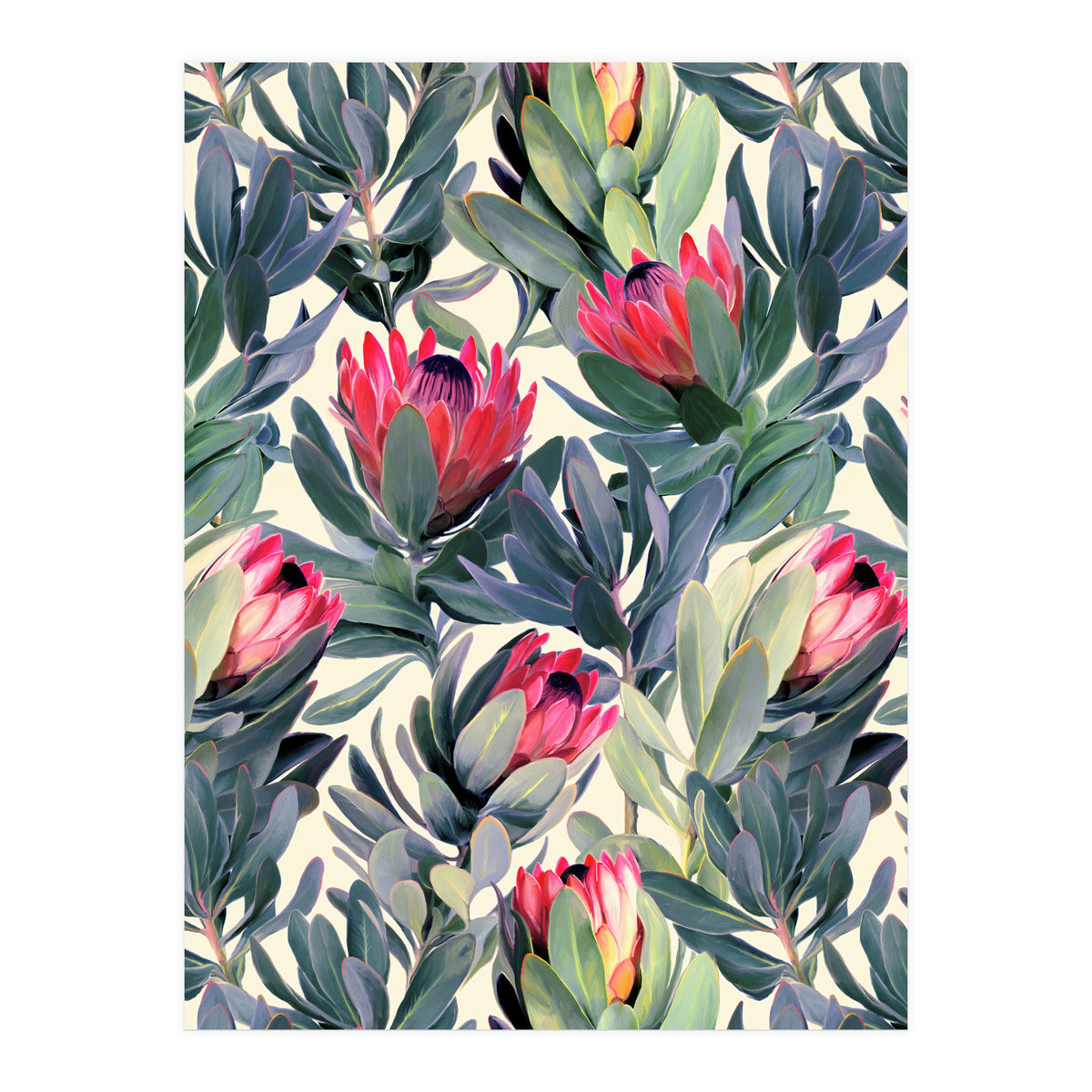 Painted Protea Pattern (Print Only)