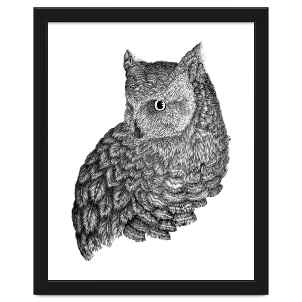 A Friend For Forsythe