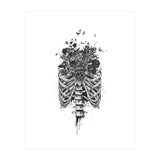 New Life Bw (Print Only) thumbnail