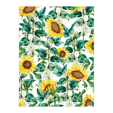 Sunflower Valley (Print Only) thumbnail