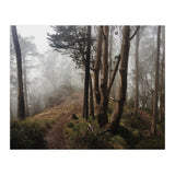 Mt. Davidson I (Print Only) thumbnail