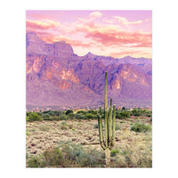 Cactus Sunset (Print Only)