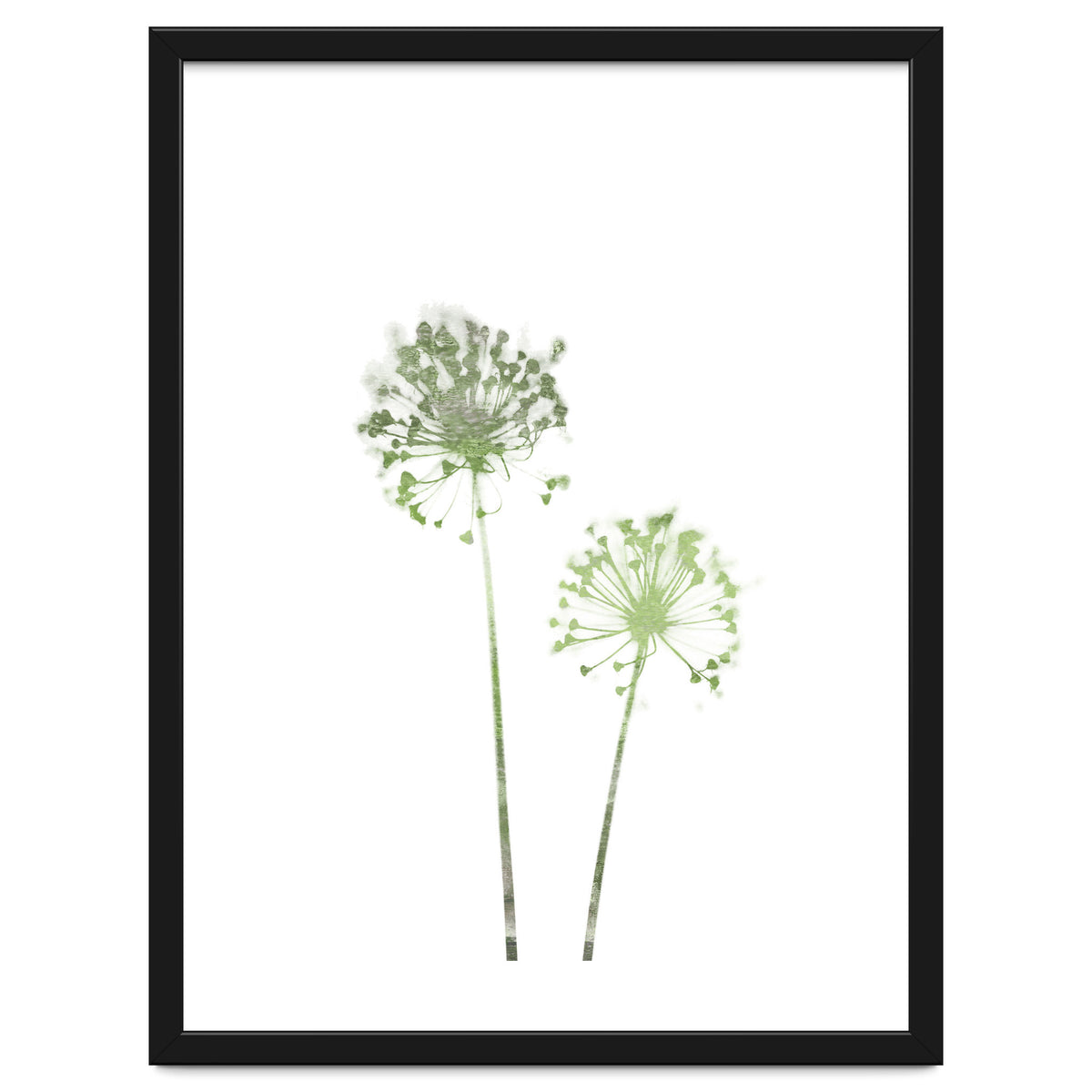 Olive Green Dandelion