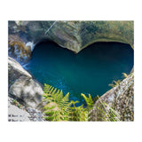 Nature (Print Only) thumbnail