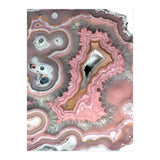 25 (Print Only) thumbnail