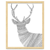 Stag 2