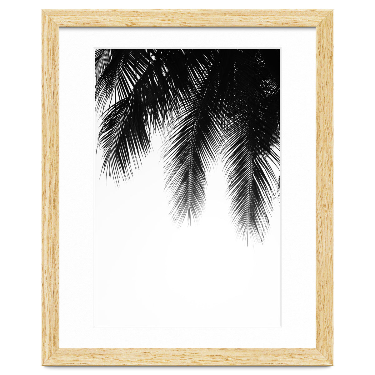 Palm leaves