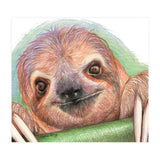 Smiling Sloth (Print Only) thumbnail