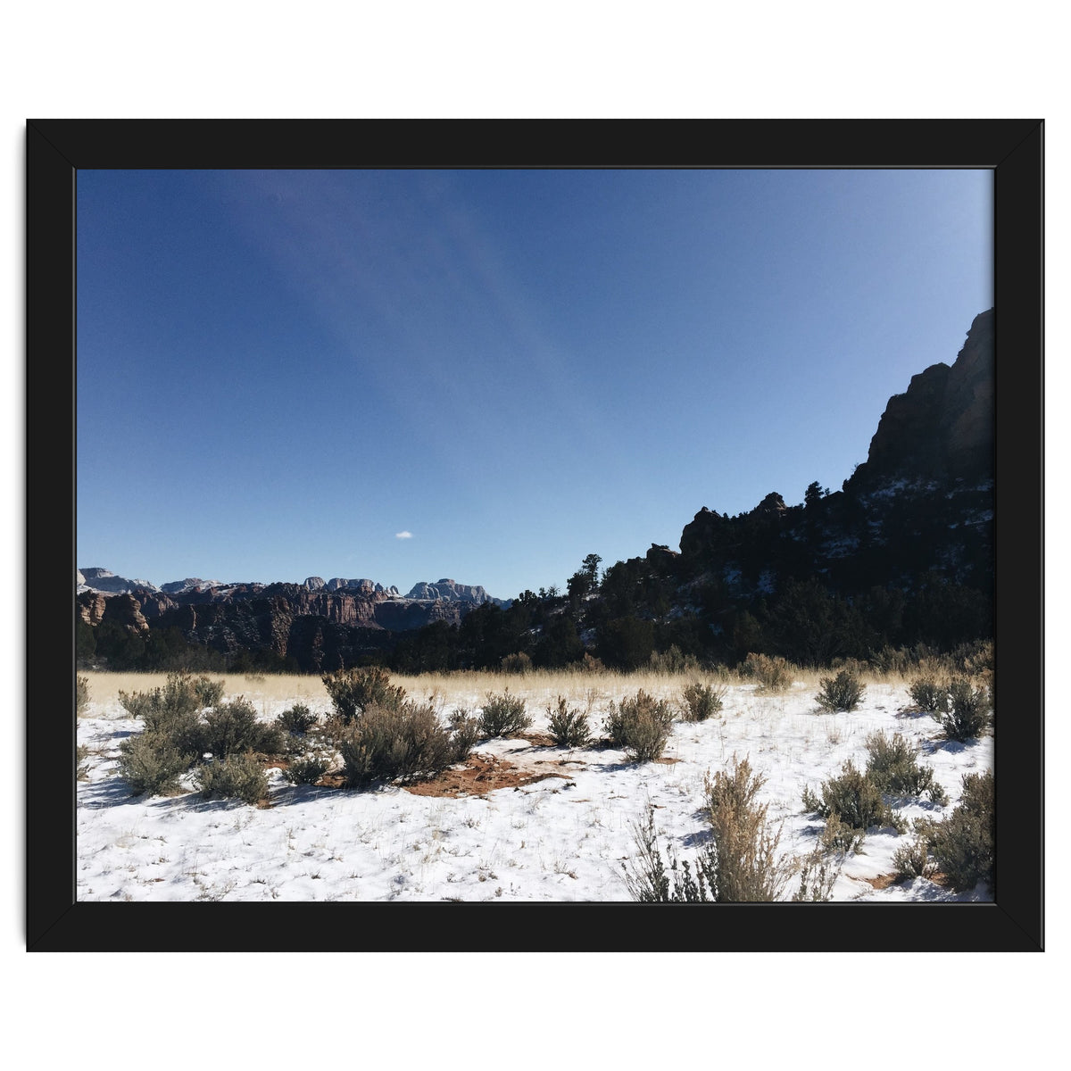 Zion National Park II