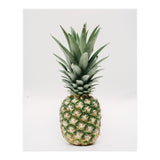 Pineapple (Print Only) thumbnail