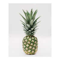 Pineapple (Print Only)