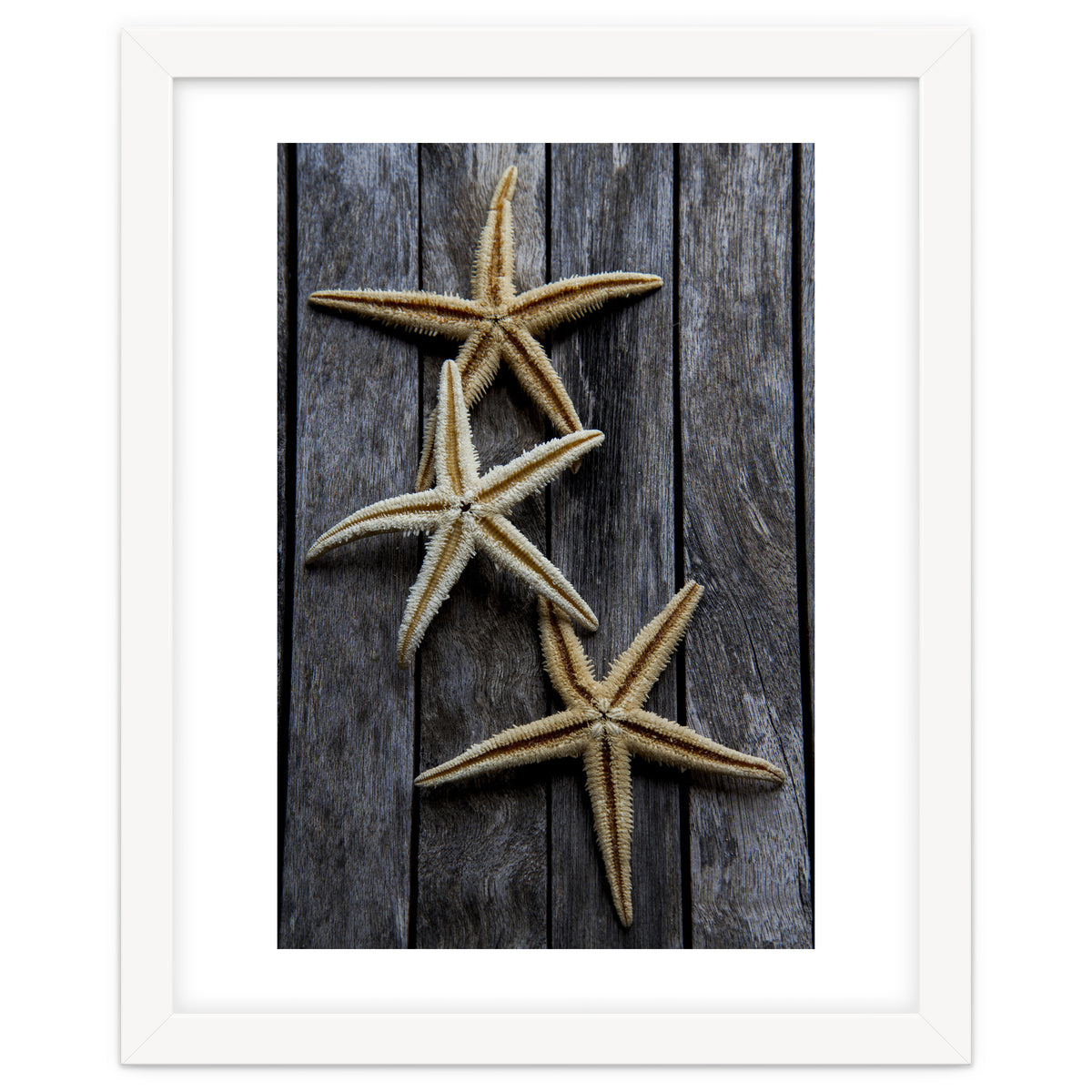 Starfishes in wooden