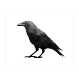 Crowscape (Print Only) thumbnail