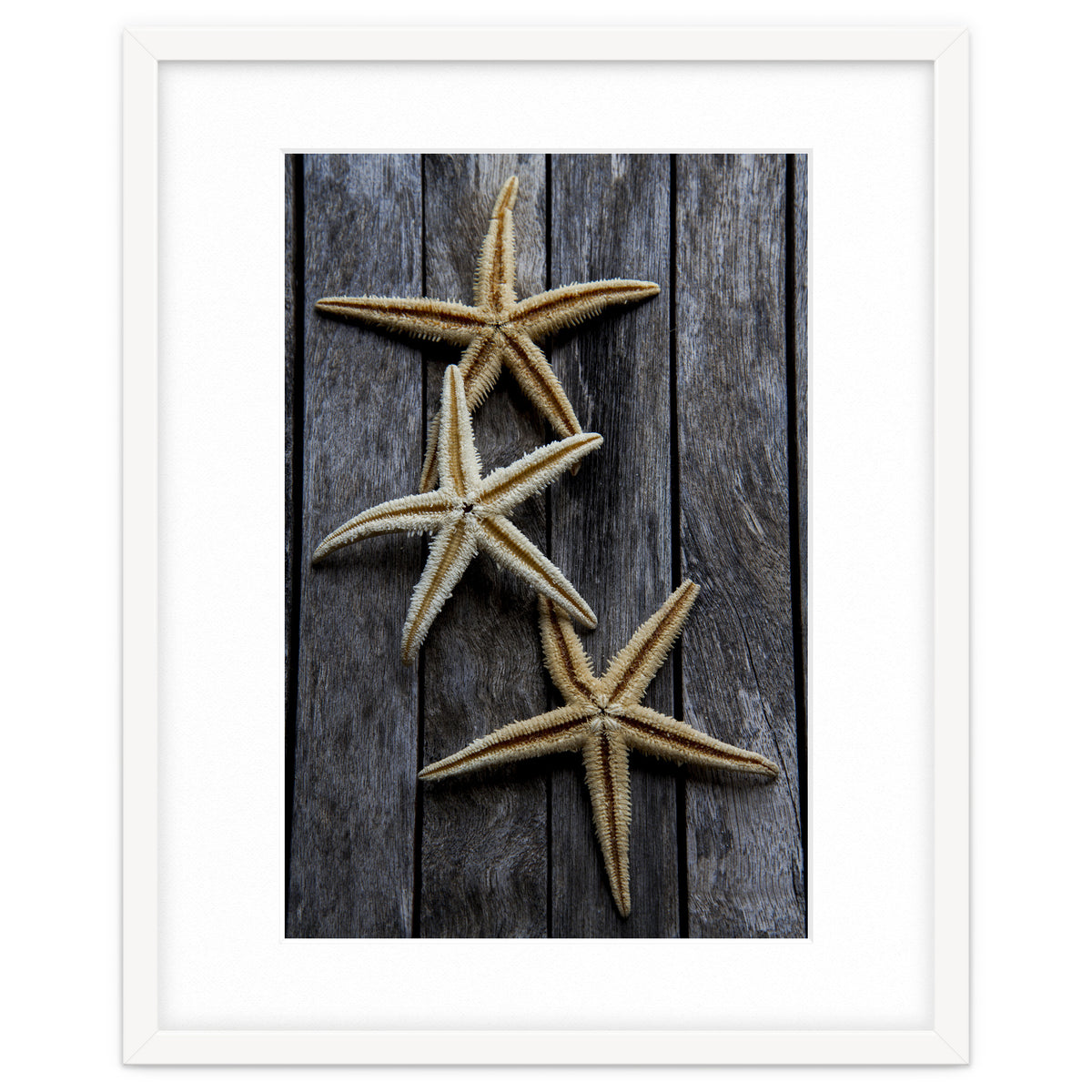 Starfishes in wooden