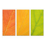 Autumn Leaves (Print Only) thumbnail