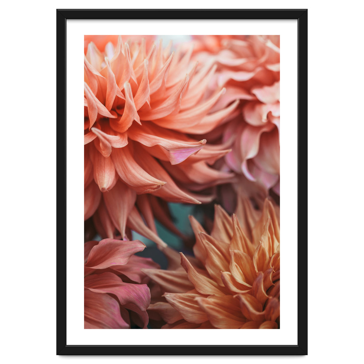 Vintage Dahlia