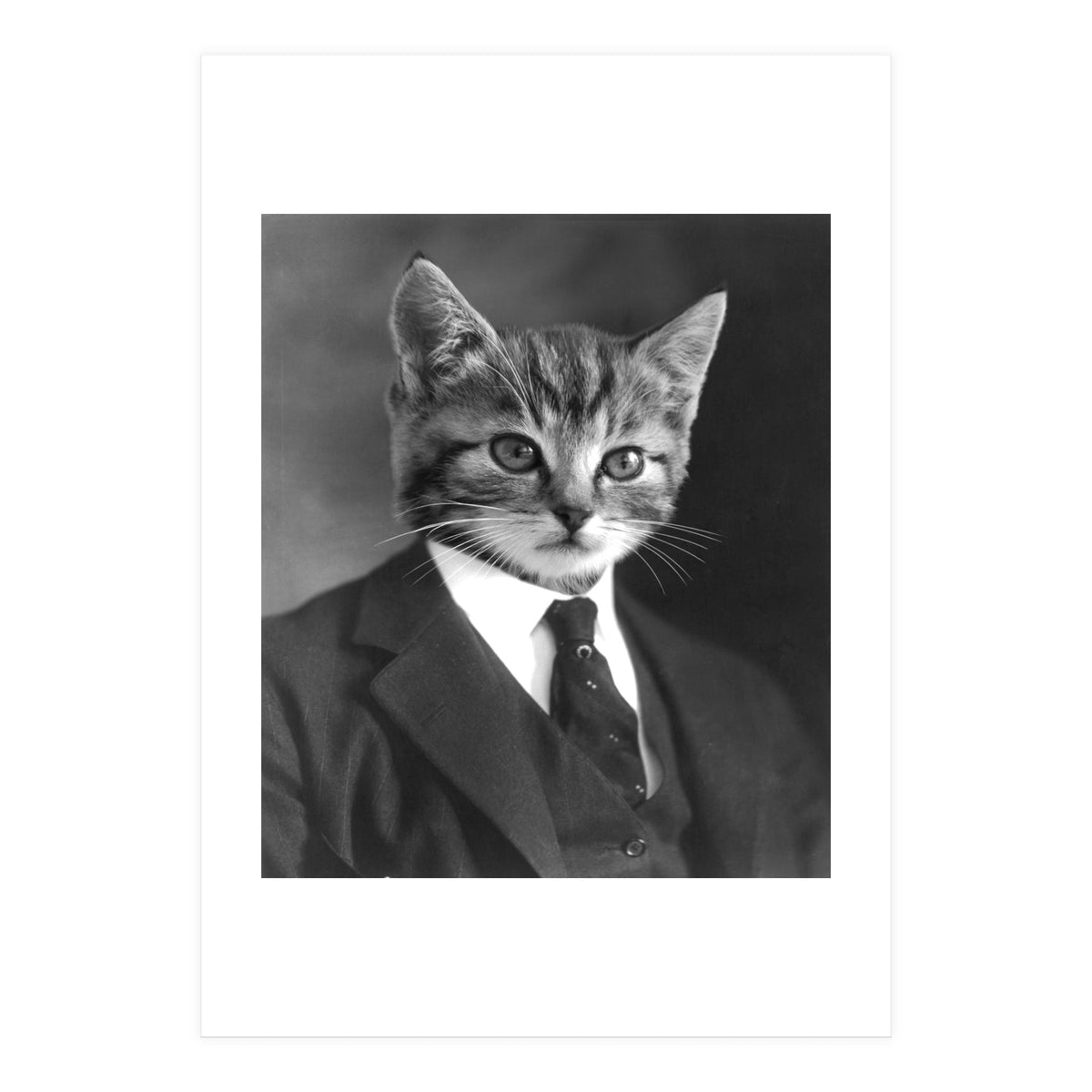 Gentleman Cat (Print Only)
