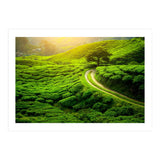 Nature (Print Only) thumbnail