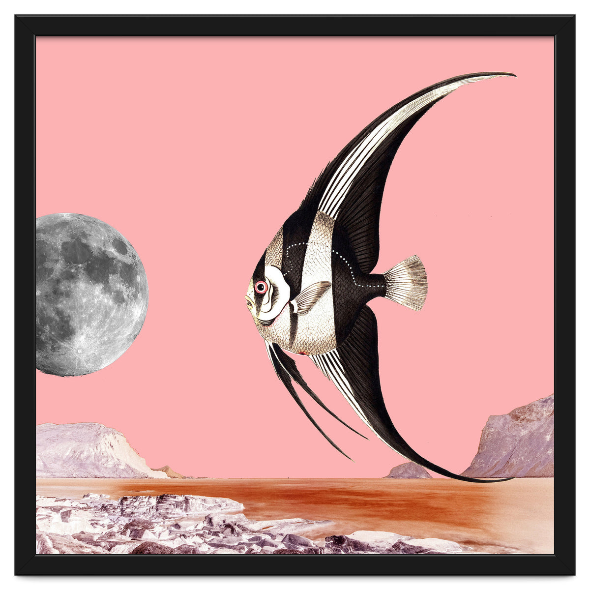 Plenty Of Fish In The Sea Pink