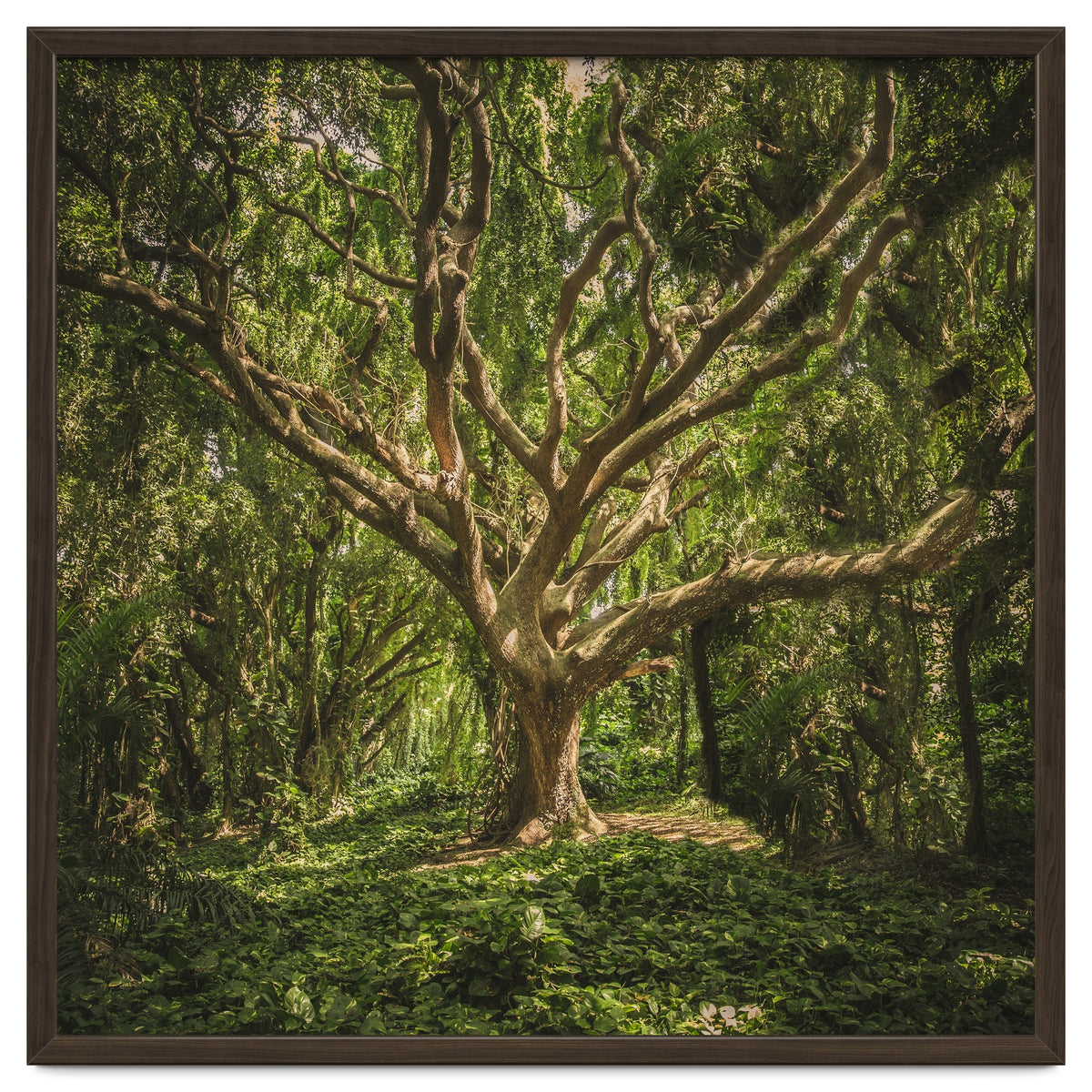 Spirits inside the wood