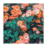Vintage Blossom Ii (Print Only) thumbnail