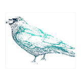 Teal Raven (Print Only) thumbnail