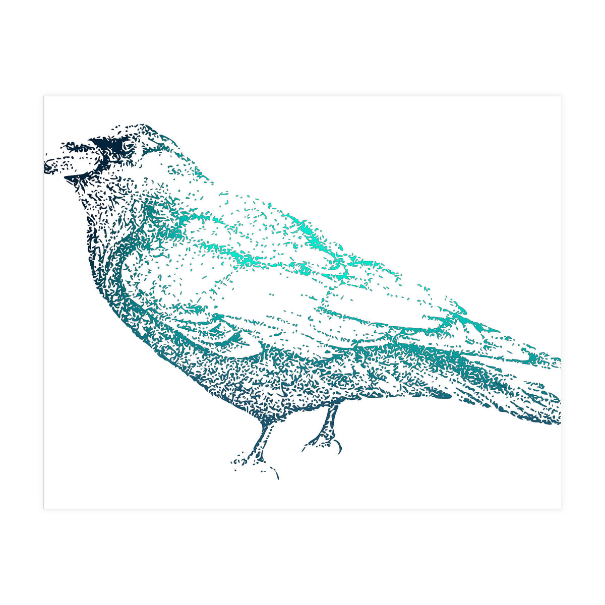 Teal Raven (Print Only)
