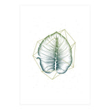 Geometry And Nature II (Print Only) thumbnail