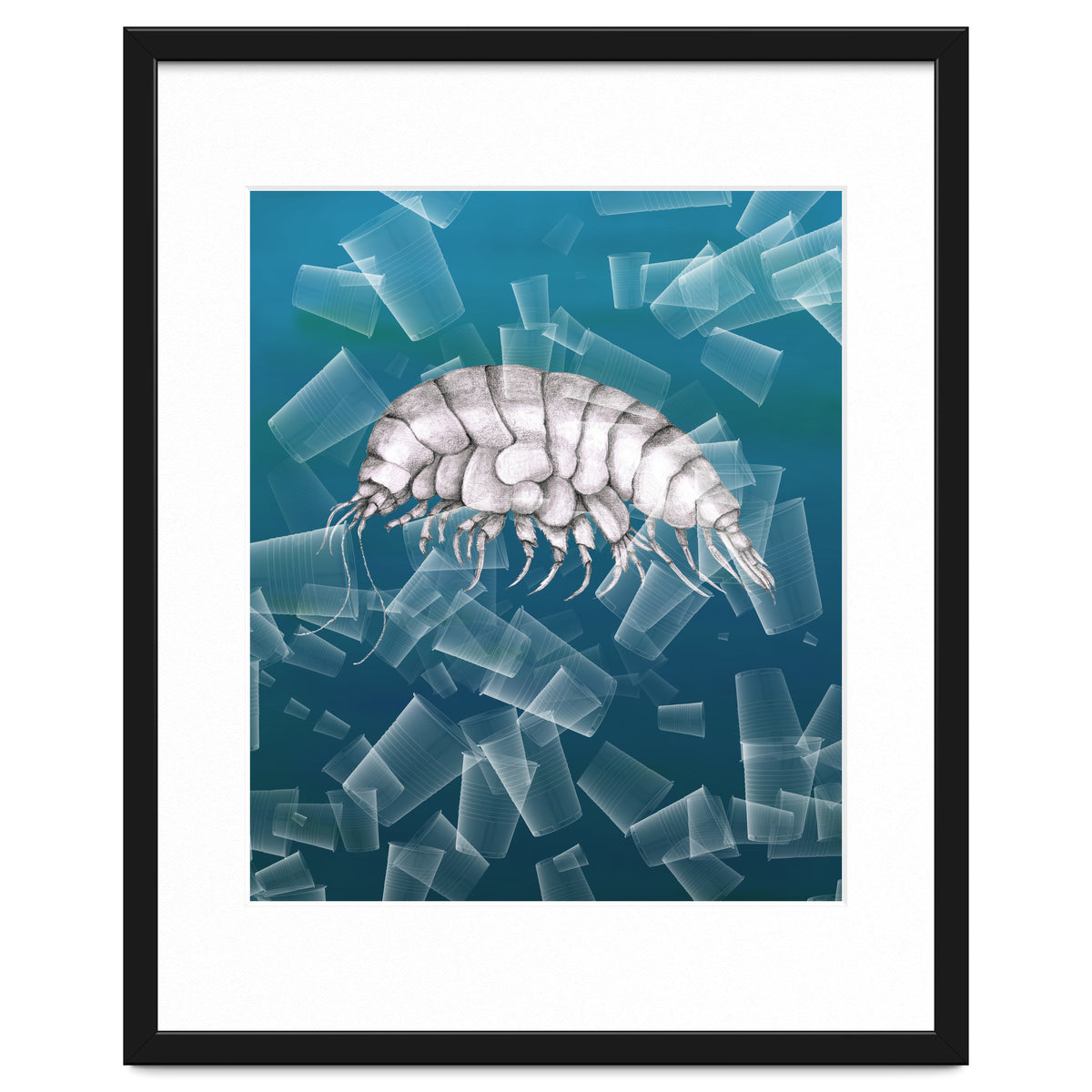 Eurythenes Plasticus