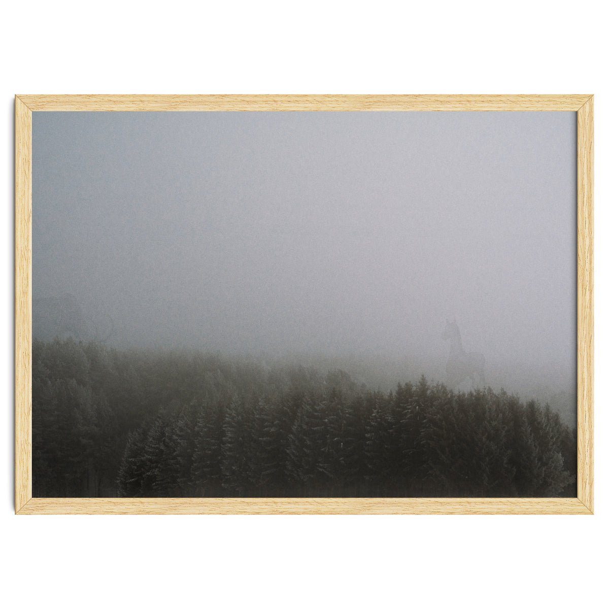 What the Hell did I just See?