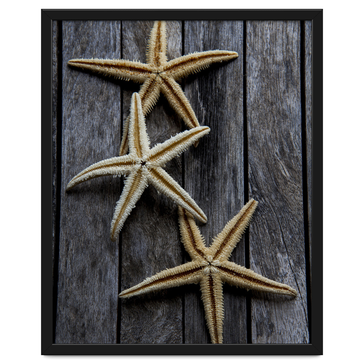 Starfishes in wooden