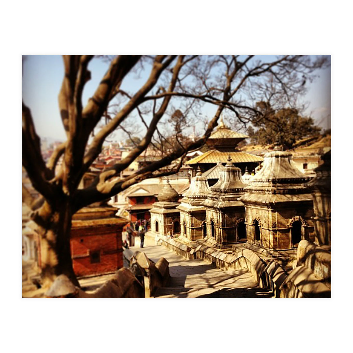 Pashupati Nath Ji (Print Only)