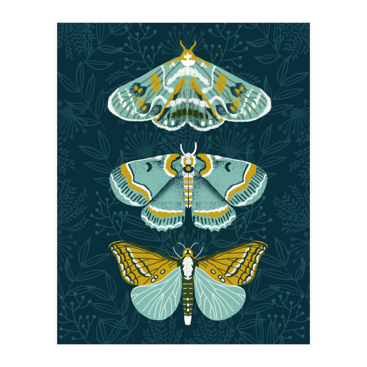 Lepidoptery8 (Print Only)