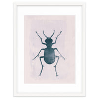 Beetle 1