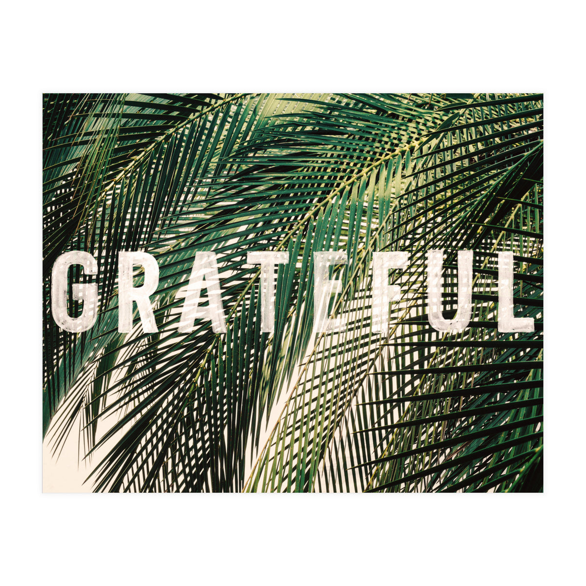 Grateful  (Print Only)