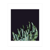 Dark Nature (Print Only) thumbnail
